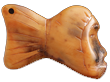 Fish Amulet
